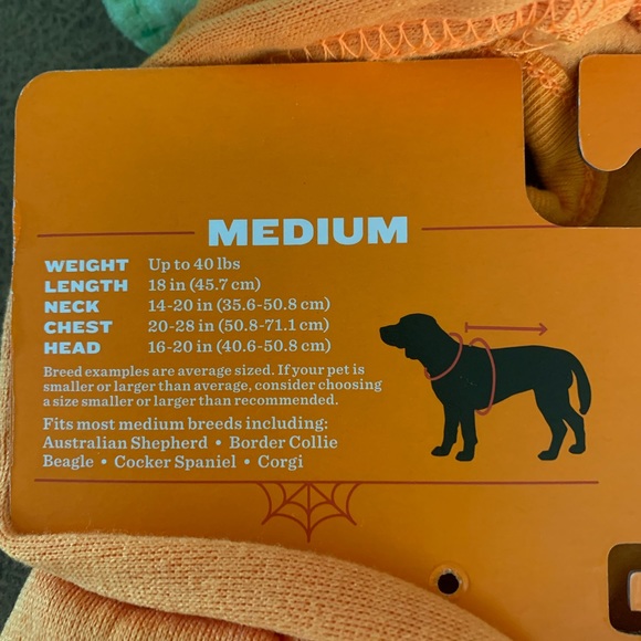Dog Reflective Jack-O'-Lantern Costume - Picture 3 of 3